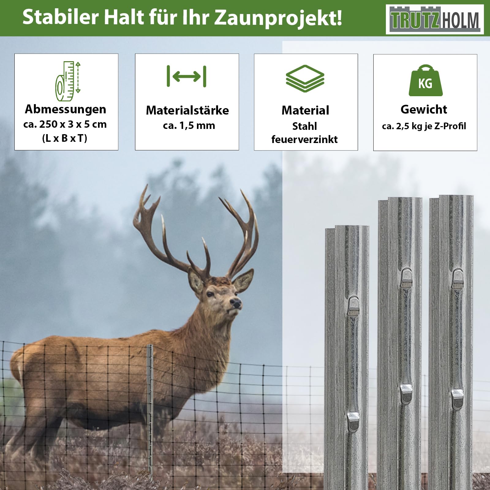 trutzholm-zaunbau-z-profil-zaunpfosten-250cm-10er-set image 2