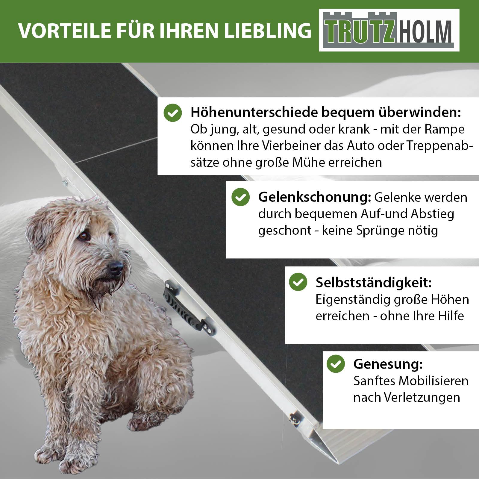 trutzholm-hunderampe-klappbar-183-cm-aluminium-180-kg image 4