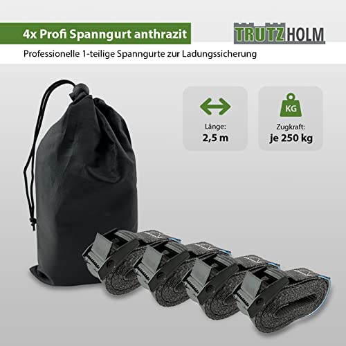 trutzholm-spanngurte-klemmschloss-4er-set-2-5m-250kg-polyester image 7