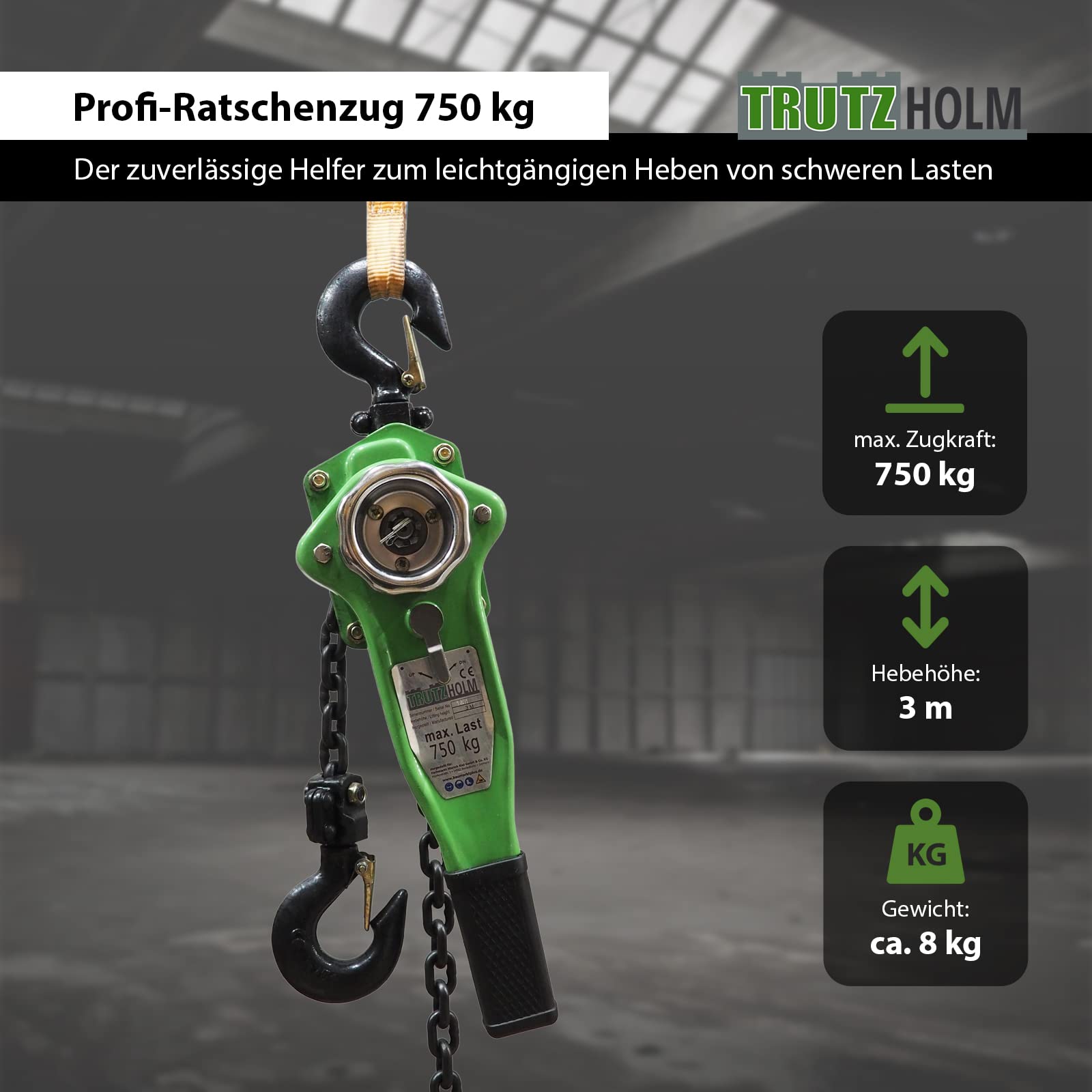 trutzholm-ratschenzug-750kg-3m-kettenzug-hebezug-stahl image 2