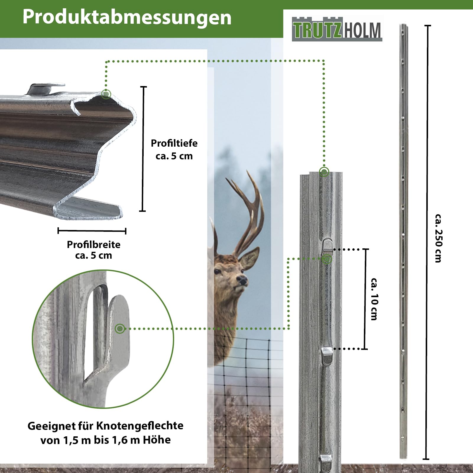 trutzholm-zaunbau-z-profil-zaunpfosten-250cm-10er-set image 3