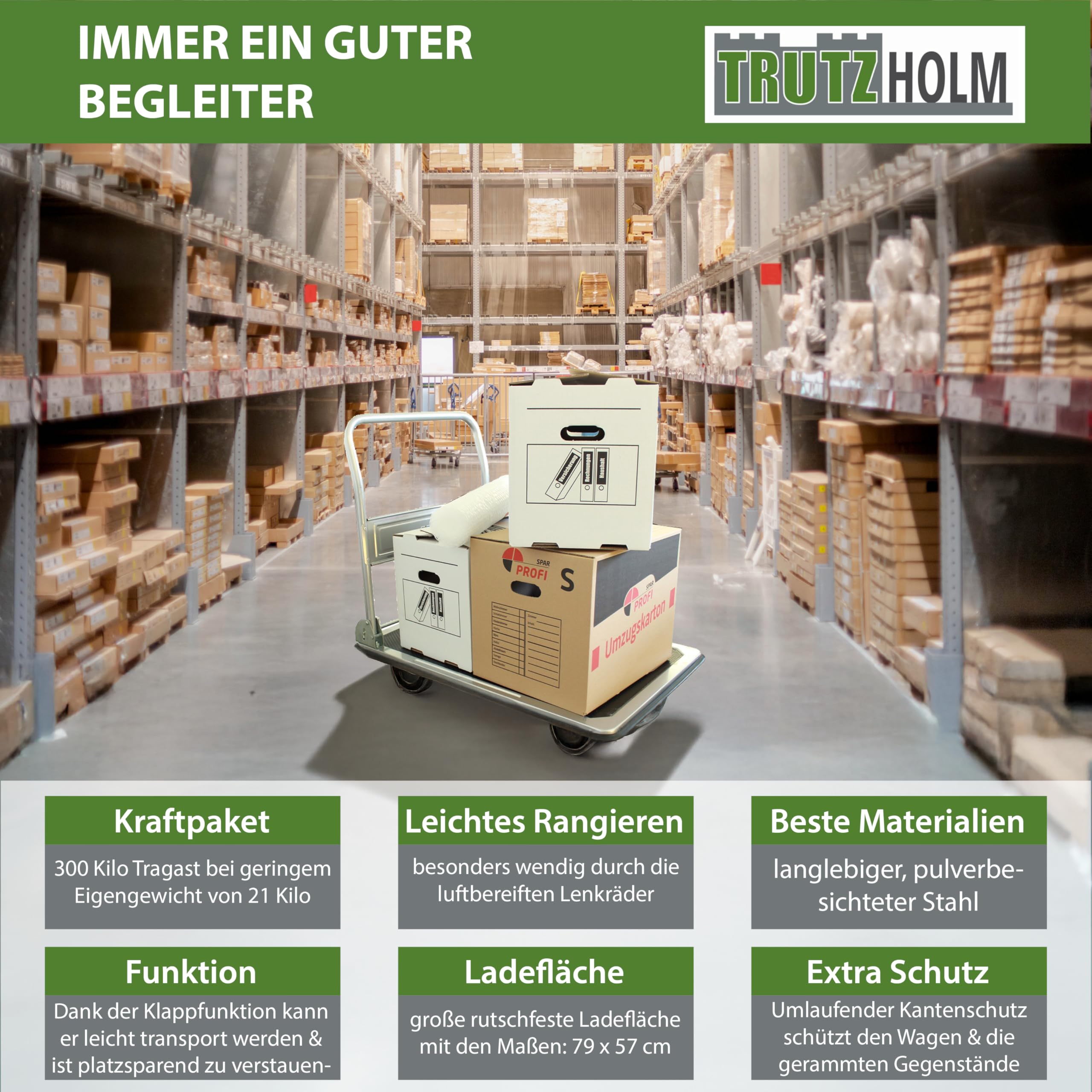 trutzholm-plattformwagen-transportwagen-300-kg-luftbereift image 8