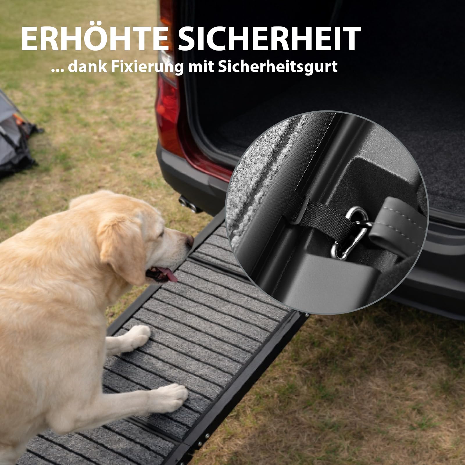 trutzholm-rampen-hunderampe-klappbar-160-cm-110-kg-hund image 4