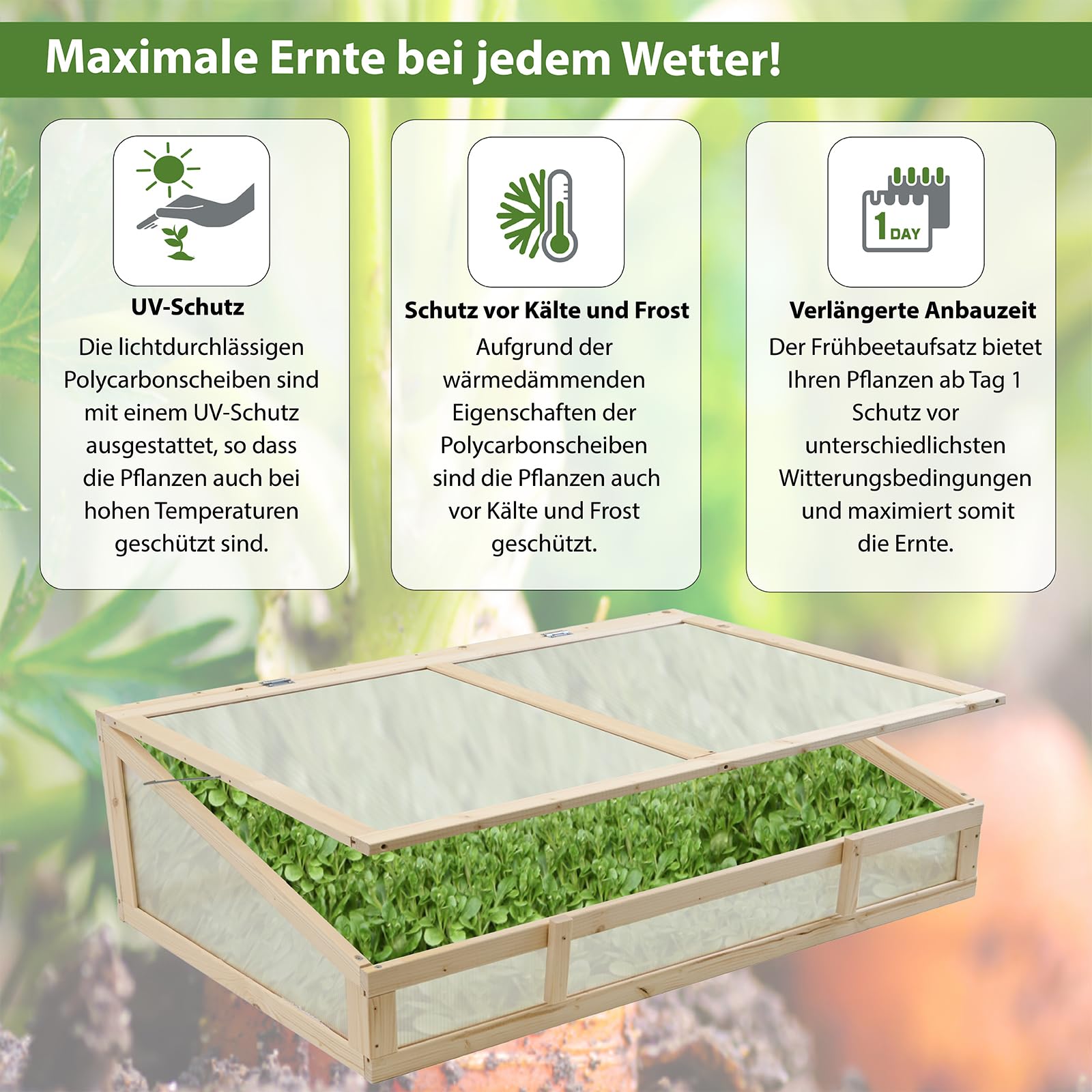 trutzholm-fr-hbeetaufsatz-holz-120x80-cm-natur-polycarbonat image 6