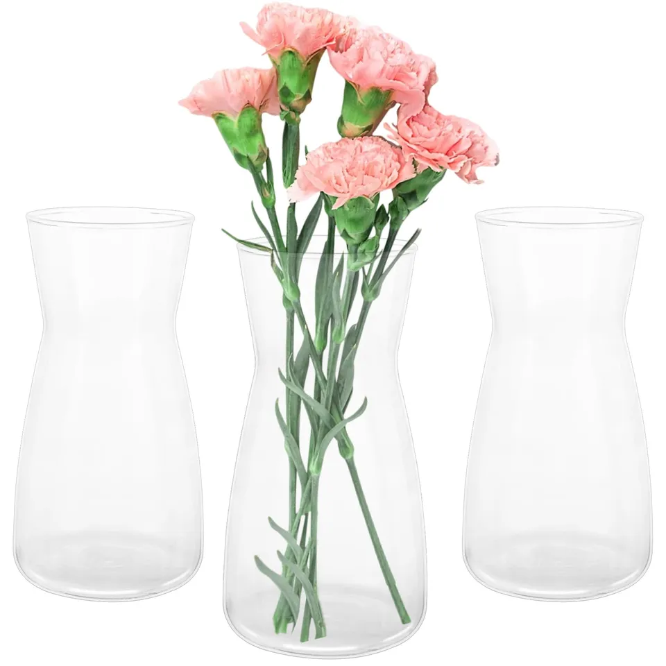 senenqu-glasvase-20-cm-hoch-transparent-3er-set-blumenvase image 1