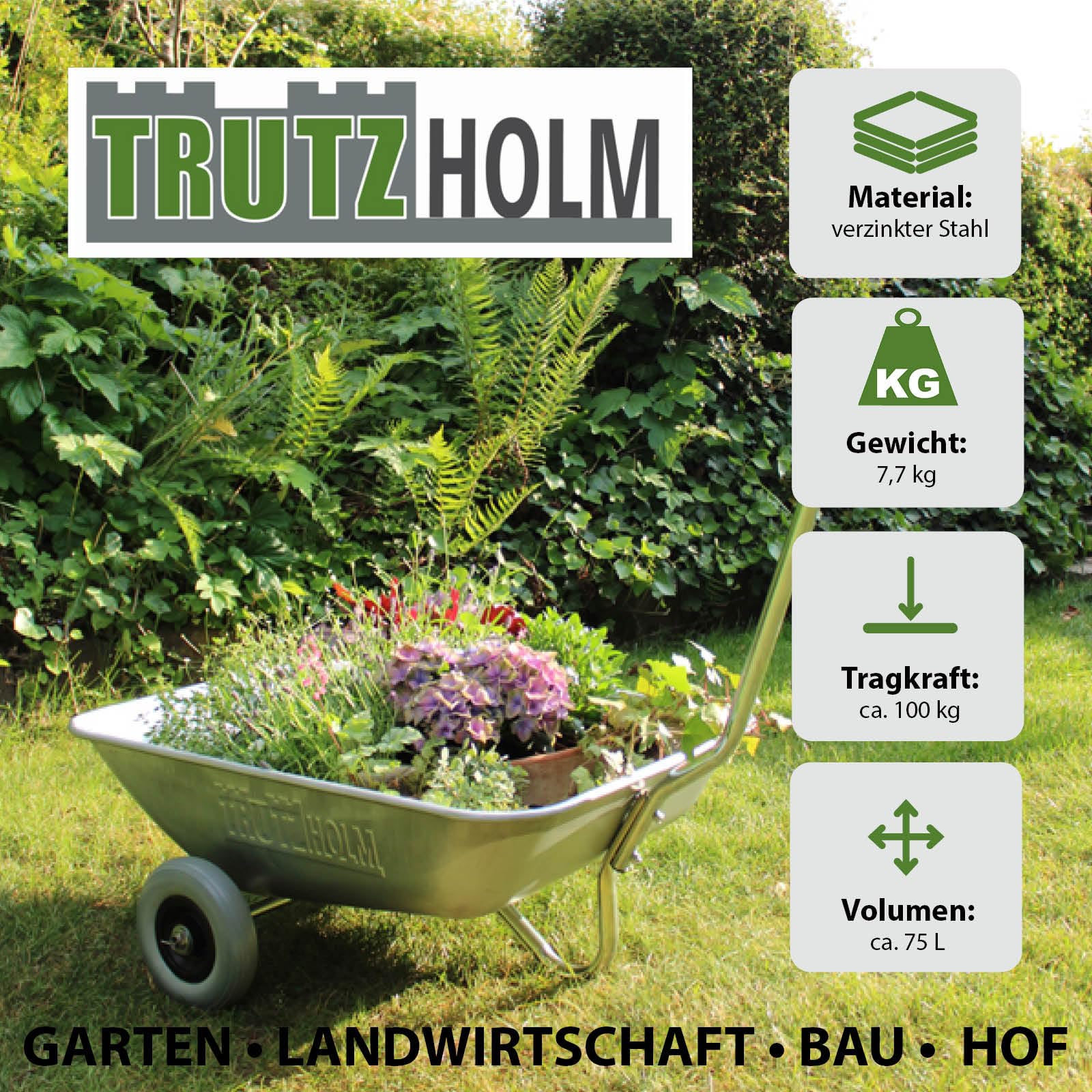 trutzholm-schubkarre-einhandkarre-100-kg-75-l-vollgummi image 3