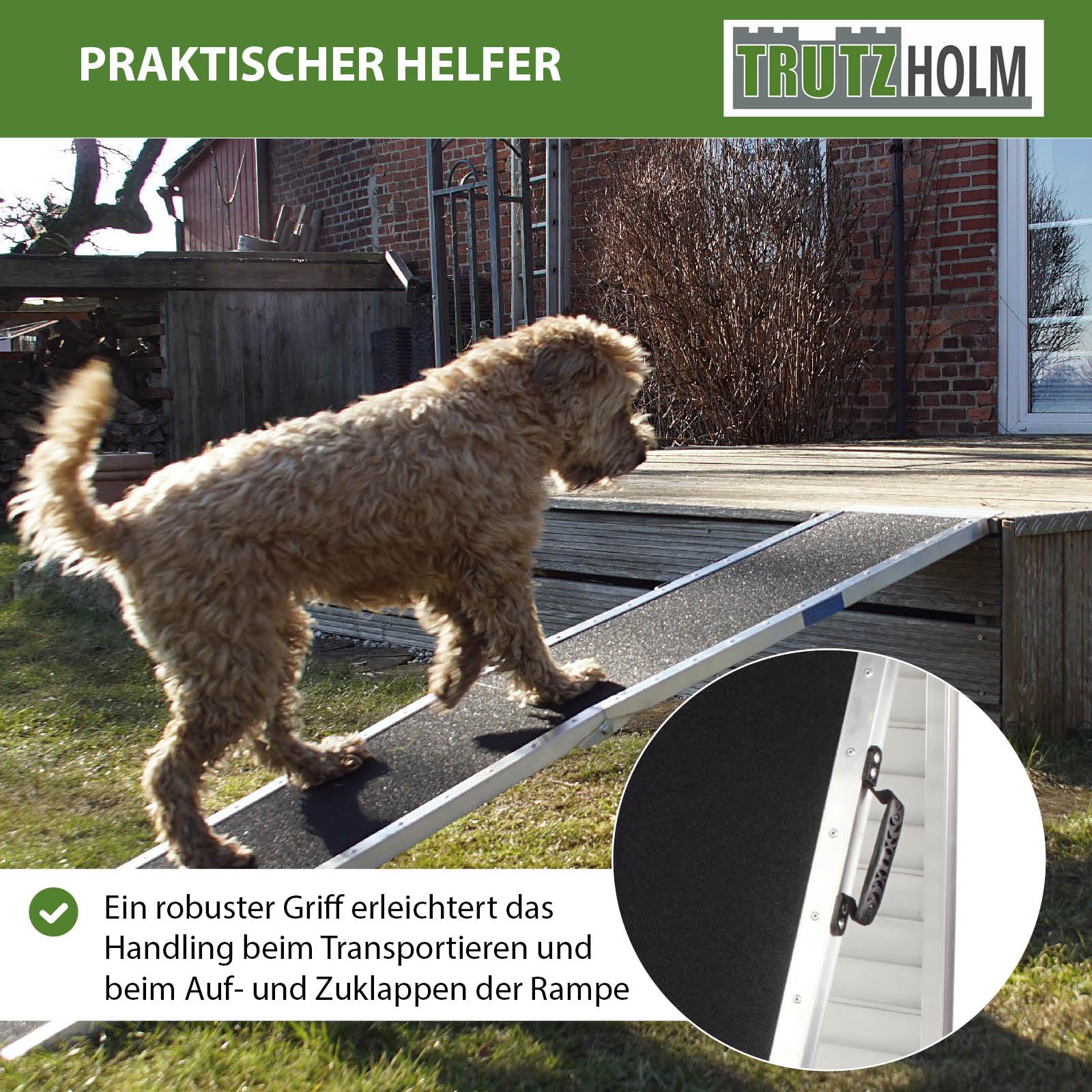 trutzholm-hunderampe-klappbar-183-cm-aluminium-180-kg image 6