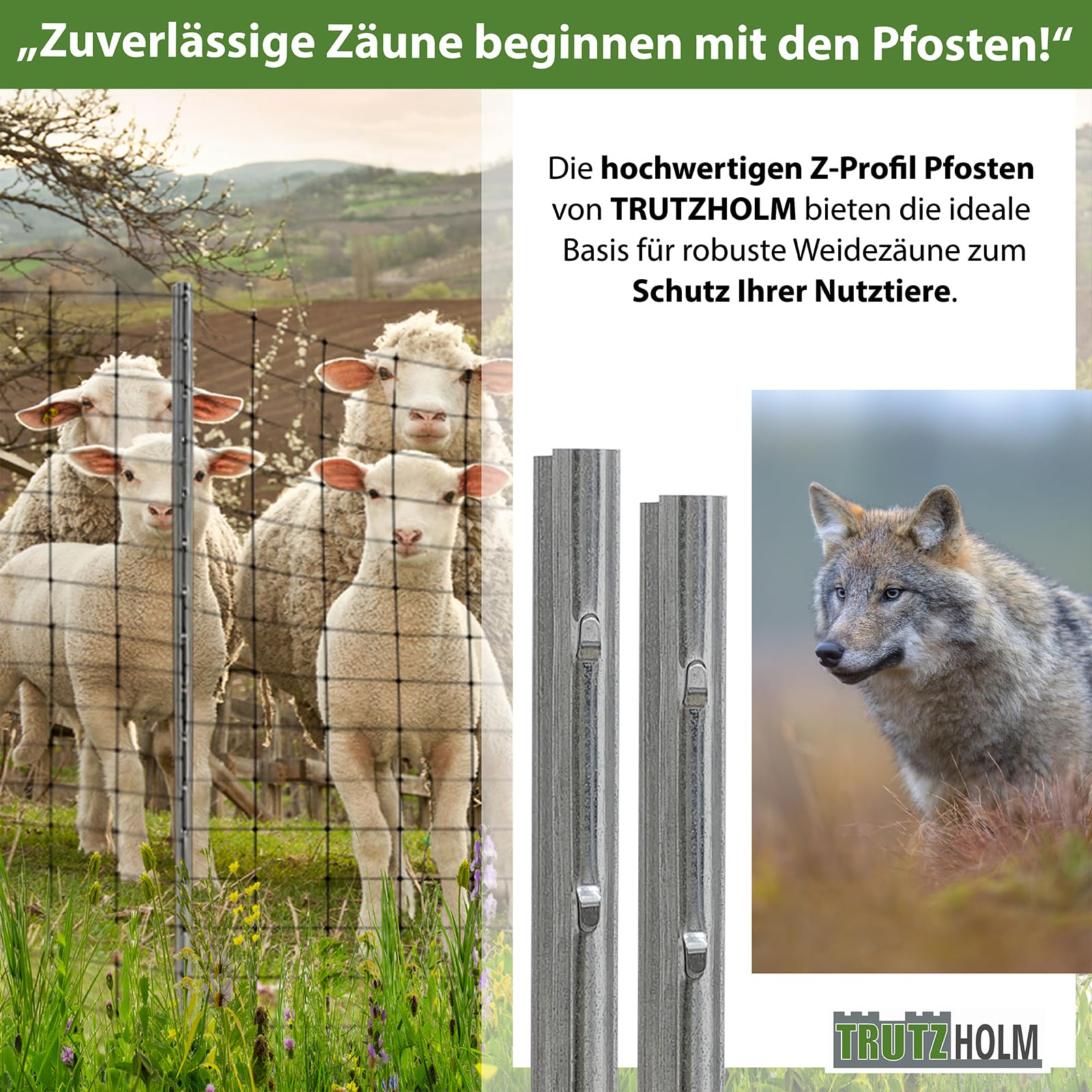 trutzholm-zaunbau-z-profil-zaunpfosten-200-cm-10er-set-verzinkt image 5