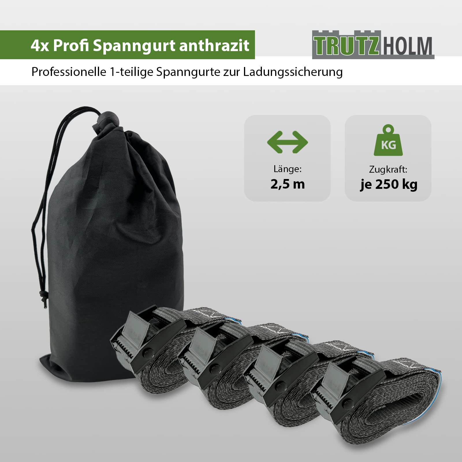 trutzholm-spanngurte-klemmschloss-4er-set-2-5m-250kg-polyester image 2