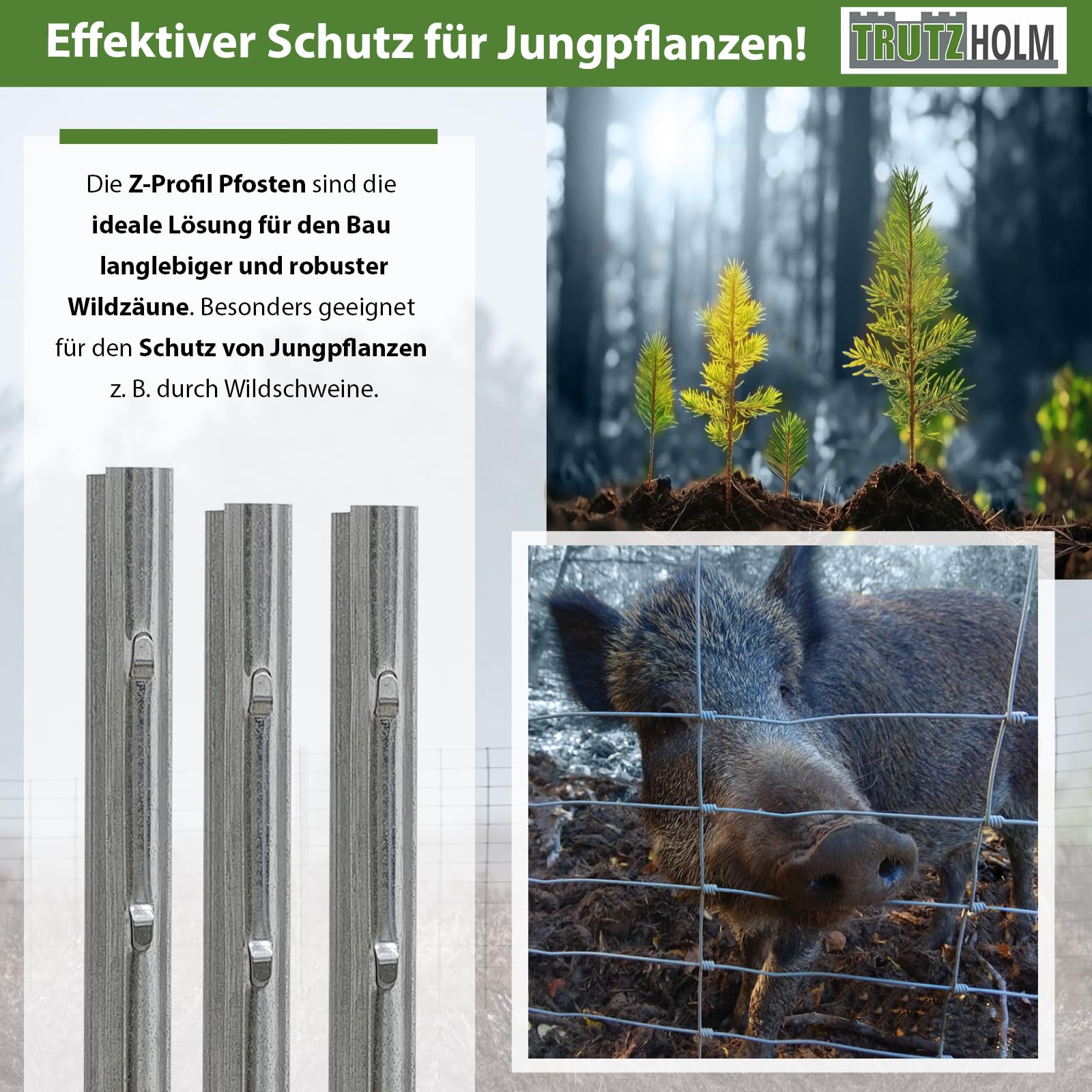 trutzholm-zaunbau-z-profil-zaunpfosten-250cm-10er-set image 5