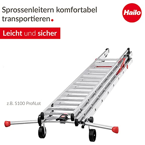 hailo-safetyline-transportrollen-sprossenleiter-2er-set-kunststoff image 7
