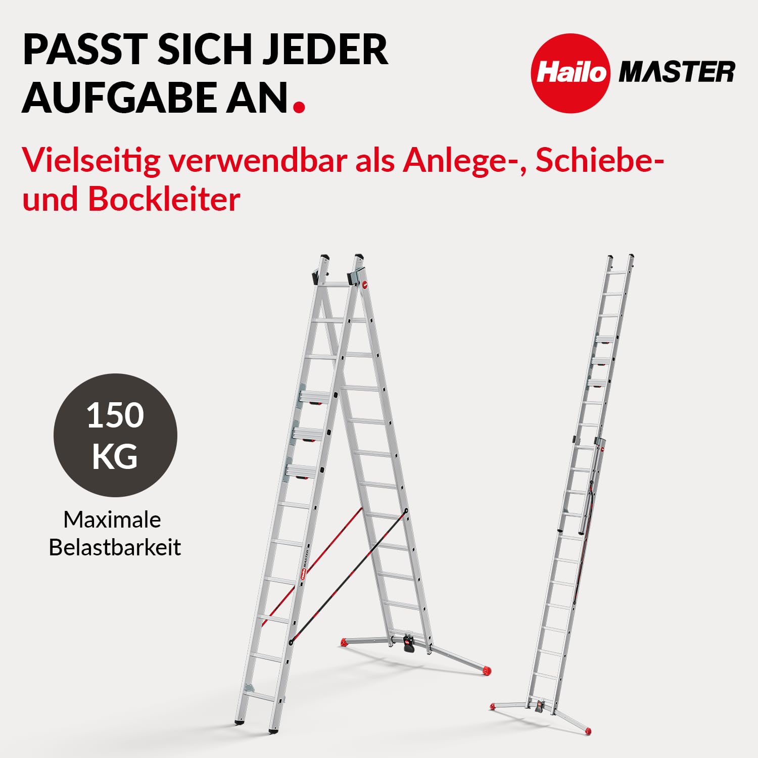 hailo-leitern-master-s110-pro-mehrzweckleiter-2x12-alu-6-61m image 2