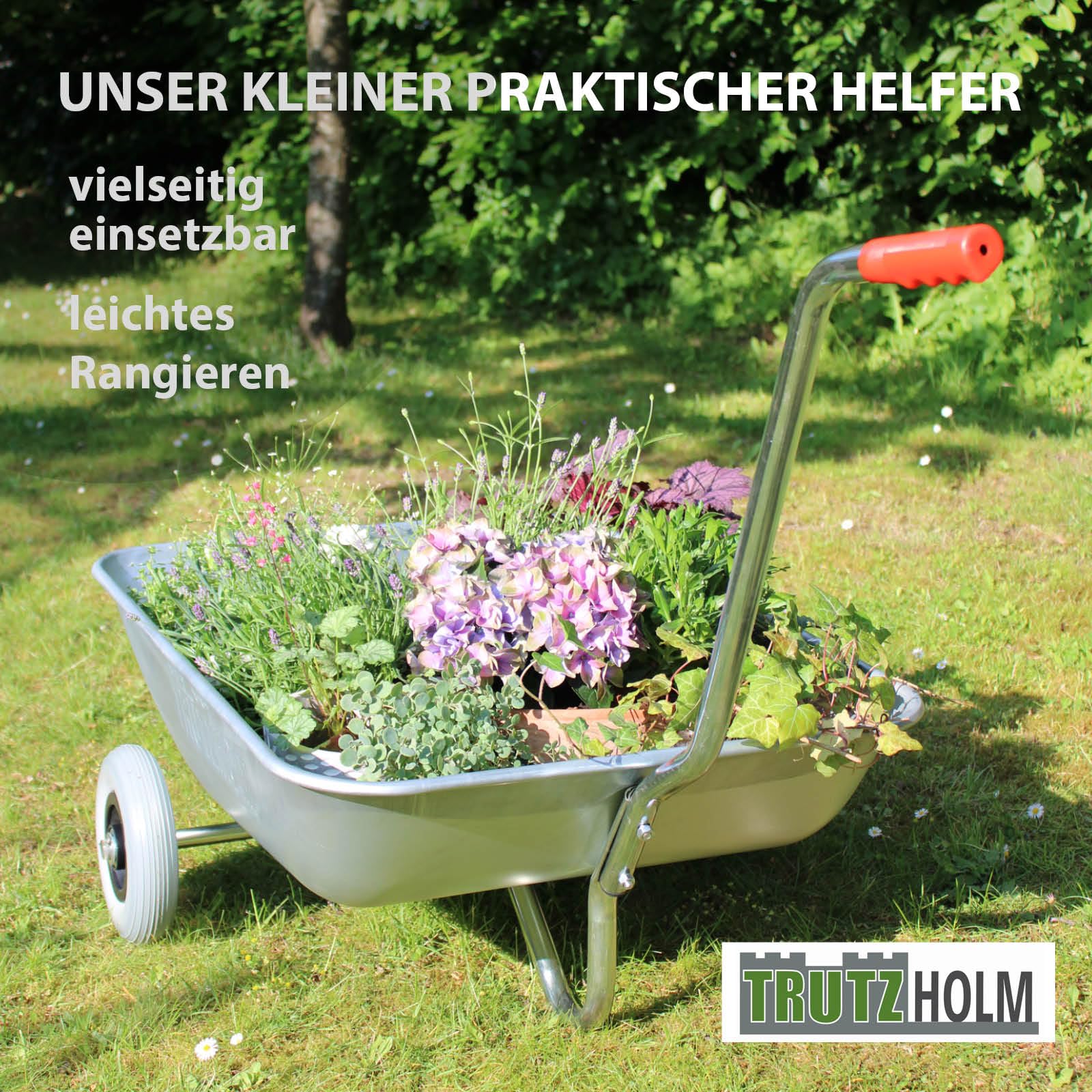 trutzholm-schubkarre-einhandkarre-100-kg-75-l-vollgummi image 8